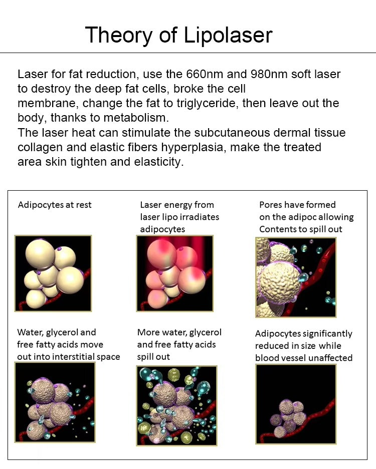 6D Lipolaser Technology Combined with EMS for Non-Invasive Body Contouring and Cellulite Reduction Slimming Machine