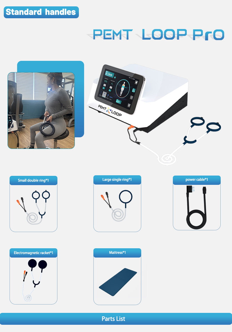 Physio Magneto 2 in 1 PEMF LOOP Magnetotherapy Machine Pulse Magnetic Machine With Horse Use Interface System