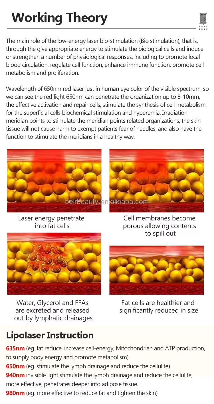 6D Lipolaser Technology Combined with EMS for Non-Invasive Body Contouring and Cellulite Reduction Slimming Machine