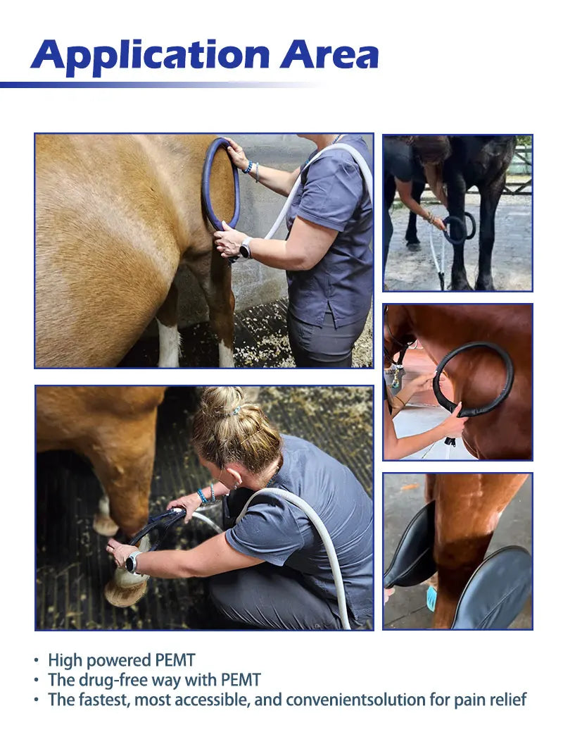 Horse Health Care Veterinary Instrument PEMT PEMF LOOP Magneto Technology for Pain Relief and Bones Repair