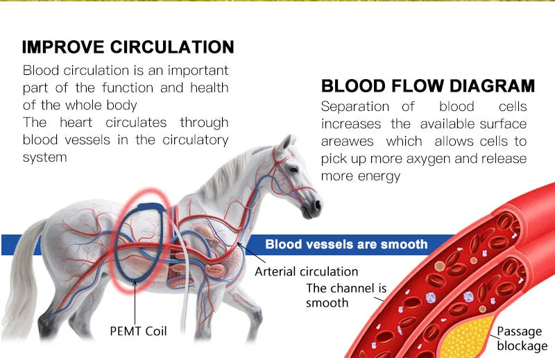 Horse Health Care Veterinary Instrument PEMT PEMF LOOP Magneto Technology for Pain Relief and Bones Repair