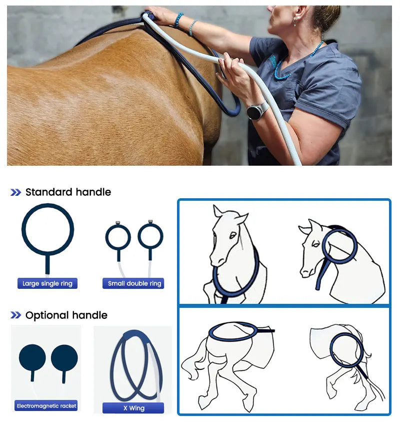 Veterinary Instrument PEMT Loop Magnetic Physiotherapy Device for Horse and Dog Orthopedic PEMF by Vet