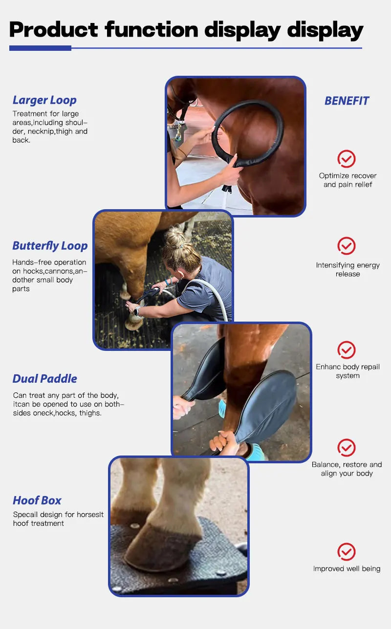Veterinary Instrument PEMT Loop Magnetic Physiotherapy Device for Horse and Dog Orthopedic PEMF by Vet