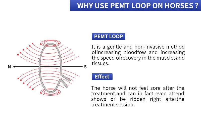 Veterinary Instrument PEMT Loop Magnetic Physiotherapy Device for Horse and Dog Orthopedic PEMF by Vet