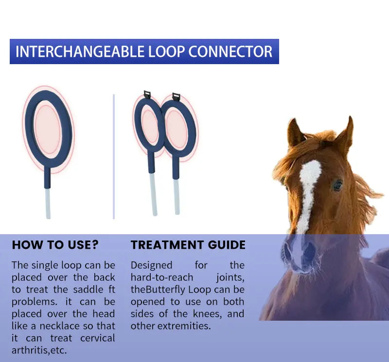 Horse Health Care Veterinary Instrument PEMT PEMF LOOP Magneto Technology for Pain Relief and Bones Repair