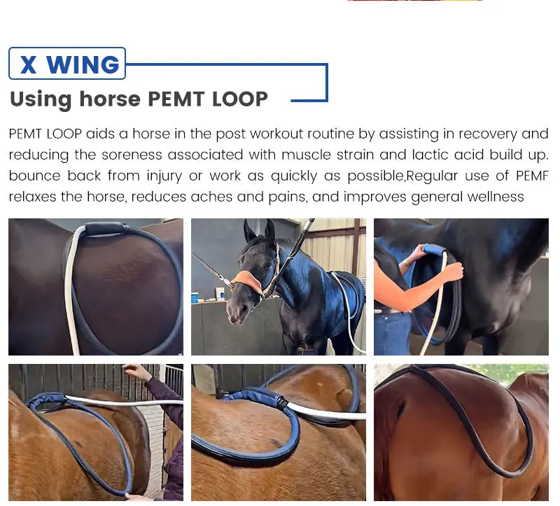 Horse Health Care Veterinary Instrument PEMT PEMF LOOP Magneto Technology for Pain Relief and Bones Repair